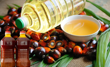 How to start profitable palm oil business in Nigeria: 6 crucial steps